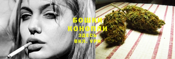 ПСИЛОЦИБИНОВЫЕ ГРИБЫ Ладушкин