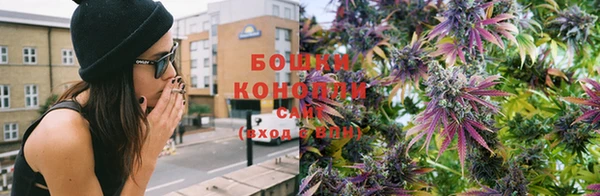 ПСИЛОЦИБИНОВЫЕ ГРИБЫ Ладушкин