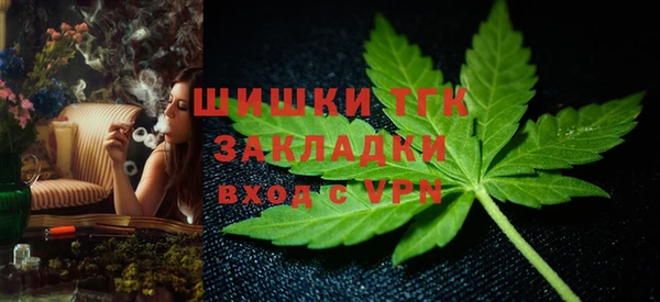 ПСИЛОЦИБИНОВЫЕ ГРИБЫ Ладушкин
