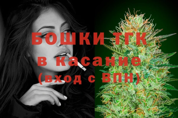 PSILOCYBIN Лагань