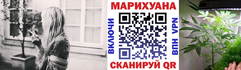мориарти формула  Сысерть  Бошки Шишки планчик 